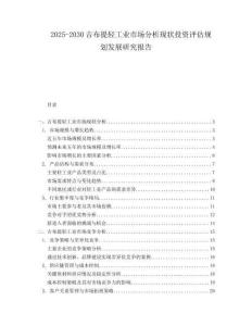 2025-2030吉布提輕工業市場分析現狀投資評估規劃發展研究報告
