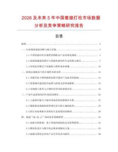 2026及未來5年中國套接燈柱市場數(shù)據(jù)分析及競爭策略研究報告