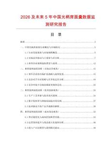2026及未來5年中國光柄席面羹數(shù)據(jù)監(jiān)測研究報告