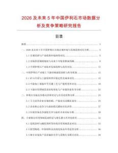 2026及未來5年中國伊利石市場數據分析及競爭策略研究報告
