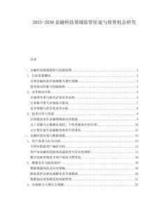 2025-2030金融科技領(lǐng)域監(jiān)管征途與投資機(jī)會(huì)研究