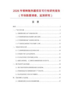 2026年鋼鑄散熱器項(xiàng)目可行性研究報(bào)告（市場(chǎng)數(shù)據(jù)調(diào)查、監(jiān)測(cè)研究）