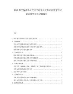 2025航空發動機子行業當前發展分析需求核實經濟效益投資預算規劃報告