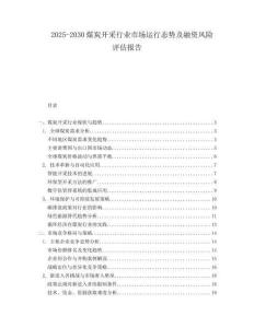 2025-2030煤炭開采行業(yè)市場運行態(tài)勢及融資風險評估報告