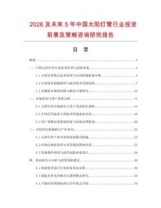2026及未來5年中國太陽燈管行業(yè)投資前景及策略咨詢研究報告