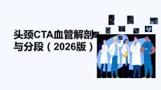 頭頸CTA血管解剖與分段（2026版）