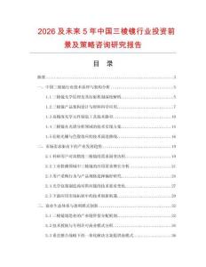 2026及未來5年中國三棱鏡行業投資前景及策略咨詢研究報告