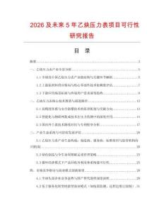 2026及未來5年乙炔壓力表項目可行性研究報告