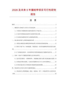 2026及未來5年捆線帶項目可行性研究報告