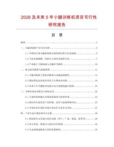 2026及未來5年小腿訓(xùn)練機(jī)項(xiàng)目可行性研究報(bào)告