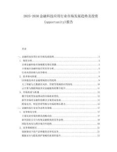 2025-2030金融科技應(yīng)用行業(yè)市場發(fā)展趨勢及投資(opportunity)報(bào)告