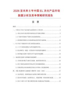2026至未來5年中國EL冷光產品市場數據分析及競爭策略研究報告