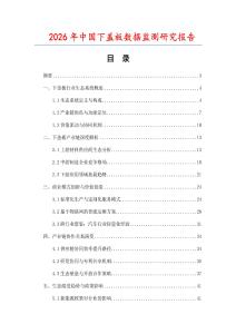 2026年中國下蓋板數(shù)據(jù)監(jiān)測研究報告