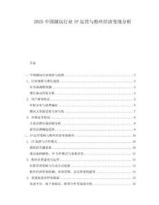 2025中國(guó)潮玩行業(yè)IP運(yùn)營(yíng)與粉絲經(jīng)濟(jì)變現(xiàn)分析