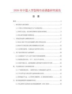 2026年中國人字型網市場調查研究報告