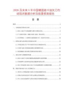 2026及未來5年中國鏡面插卡油灰刀市場現(xiàn)狀數(shù)據(jù)分析及前景預(yù)測(cè)報(bào)告