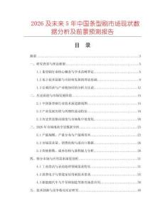 2026及未來5年中國條型刷市場現(xiàn)狀數(shù)據(jù)分析及前景預測報告