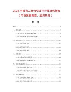 2026年帆布工具包項(xiàng)目可行性研究報(bào)告（市場數(shù)據(jù)調(diào)查、監(jiān)測研究）