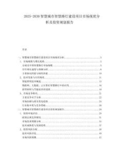2025-2030智慧城市智慧路燈建設項目市場現狀分析及投資規劃報告