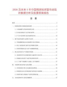 2026及未來(lái)5年中國(guó)網(wǎng)球撿球籃市場(chǎng)現(xiàn)狀數(shù)據(jù)分析及前景預(yù)測(cè)報(bào)告