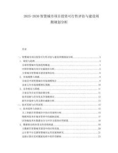 2025-2030智慧城市項目投資可行性評估與建設周期規劃分析