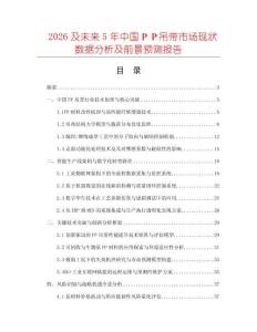2026及未來5年中國ＰＰ吊帶市場現狀數據分析及前景預測報告