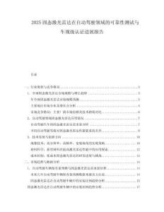 2025固態(tài)激光雷達(dá)在自動(dòng)駕駛領(lǐng)域的可靠性測(cè)試與車規(guī)級(jí)認(rèn)證進(jìn)展報(bào)告