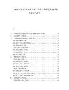2025-2030中部地區(qū)能源行業(yè)供需分析及投資評估規(guī)劃研究文檔