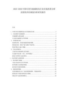 2025-2030中國可再生能源轉(zhuǎn)化行業(yè)市場供需分析及投資評估規(guī)劃分析研究報告