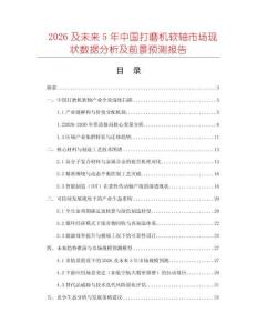 2026及未來5年中國打磨機軟軸市場現(xiàn)狀數(shù)據(jù)分析及前景預(yù)測報告
