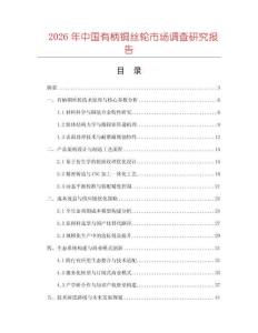 2026年中國(guó)有柄銅絲輪市場(chǎng)調(diào)查研究報(bào)告