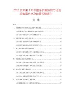 2026及未來5年中國手機喇叭網市場現狀數據分析及前景預測報告