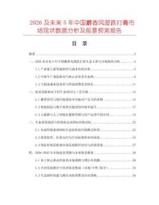 2026及未來5年中國麝香風濕跌打膏市場現狀數據分析及前景預測報告