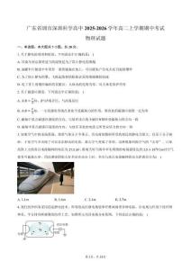 廣東省圳市深圳科學(xué)高中2025-2026學(xué)年高二上學(xué)期期中考試物理試卷（含答案）