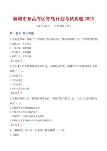 聊城市東昌府區(qū)青鳥計劃考試真題2025