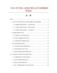 2026年中國人絲鉤針套頭衫市場調查研究報告