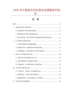 2026年中國夜光手機鏈市場調查研究報告