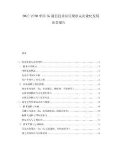 2025-2030中國5G通信技術(shù)應(yīng)用現(xiàn)狀及商業(yè)化發(fā)展前景報(bào)告