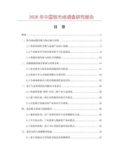 2026年中國鋯市場調查研究報告