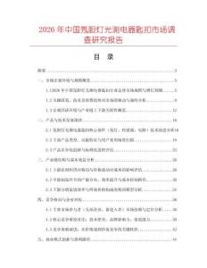 2026年中國氖膽燈光測電器匙扣市場調查研究報告
