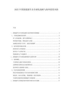 2025中國新能源車企全球化戰(zhàn)略與海外投資風(fēng)險