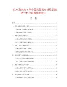2026及未來5年中國拱型機市場現狀數據分析及前景預測報告