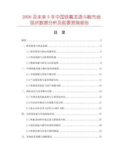 2026及未來5年中國鐵氟龍燙斗靴市場現(xiàn)狀數(shù)據(jù)分析及前景預測報告