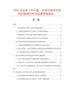 2026及未來5年中國一次性吊裝帶市場現狀數據分析及前景預測報告