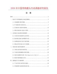 2026年中國帶柄磨頭市場調查研究報告