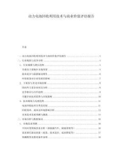 動力電池回收利用技術與商業(yè)價值評估報告