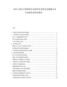 2025-2030中國網絡安全防護技術研究及數據安全與加密技術研究報告