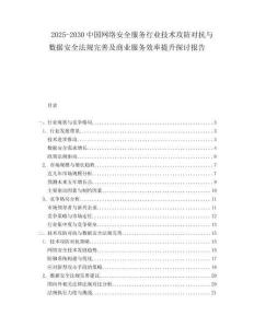 2025-2030中國網絡安全服務行業技術攻防對抗與數據安全法規完善及商業服務效率提升探討報告