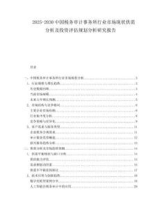 2025-2030中國稅務審計事務所行業市場現狀供需分析及投資評估規劃分析研究報告