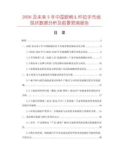 2026及未來5年中國膠柄Ｌ桿拉手市場現(xiàn)狀數(shù)據(jù)分析及前景預(yù)測報(bào)告